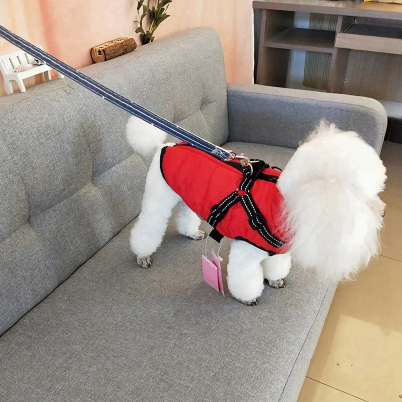Snowy Snuggles Dog Jacket