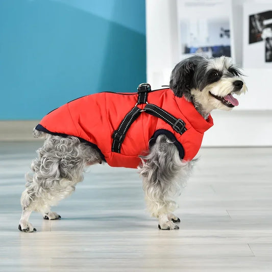 Snowy Snuggles Dog Jacket