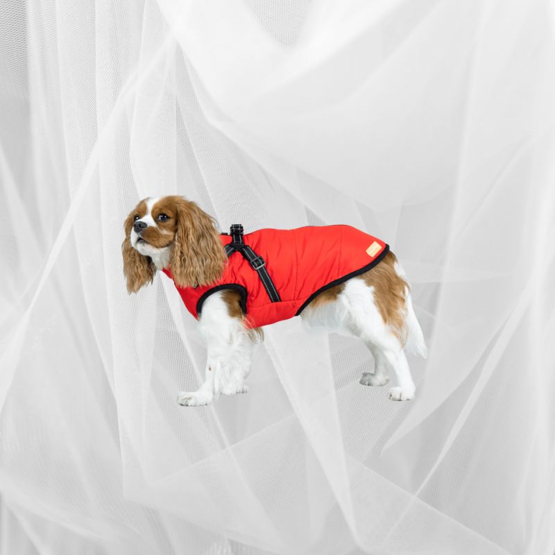 Snowy Snuggles Dog Jacket