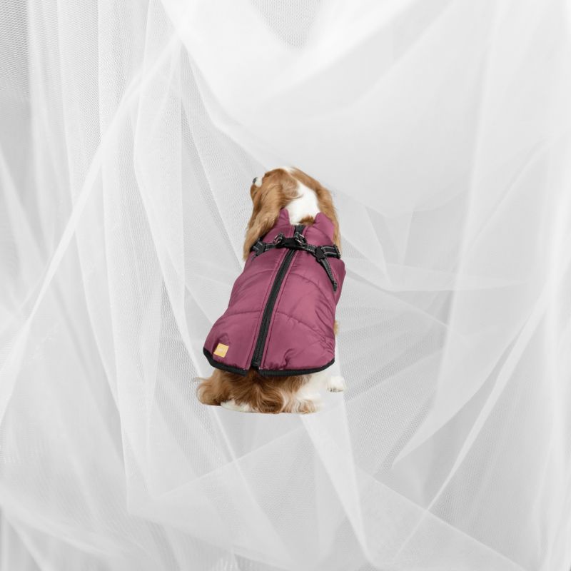 Snowy Snuggles Dog Jacket